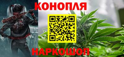 гидропоника Краснознаменск