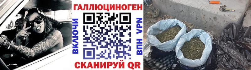 купить наркоту  Углич  Псилоцибиновые грибы мицелий 