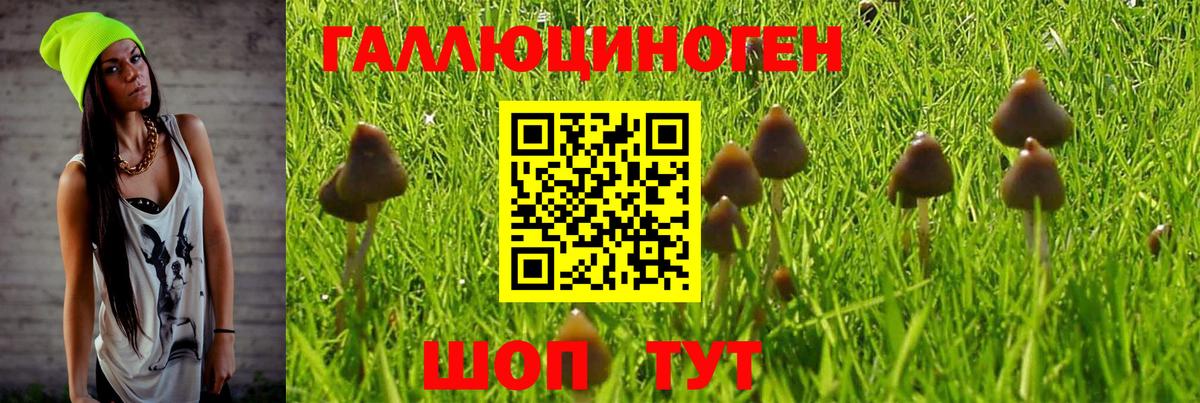 Галлюциногенные грибы мицелий Углич